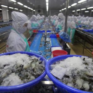 Tôm và cá tra của Việt Nam từ tháng 3.2018 khó vào thị trường Mỹ