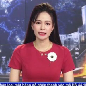 Vietnam Prime Minister and National TV miss to apology for their mistakes, people should be cautious