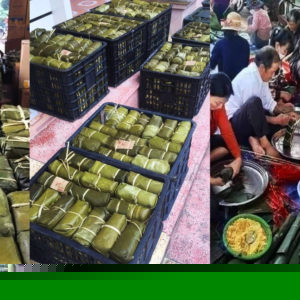 Receiving VND100 billion for charity, singer Thuy Tien has reputation outperforming the state