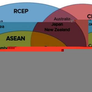 AI HƯỞNG LỢI NHIỀU NHẤT TRONG HIỆP ĐỊNH RCEP