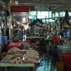 Afraid of Covid-19 pandemic, Vietnam’s majority supports the closure of wild animal markets