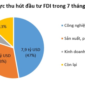 FDI into Vietnam plummeted 11%