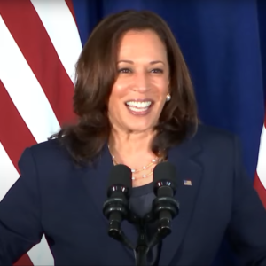 Vice President Harris’s visit to Vietnam: Vietnam-US relations and the expectation gap between people and regime