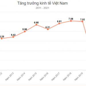 Vietnam’s economy in 2021 increases only 2.58%
