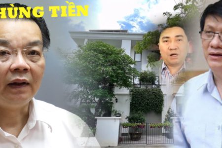 Đánh một quả, Chu Ngọc Anh nuốt trọn 1 biệt phủ, Nguyễn Thanh Long nuốt 2. Xem chi tiết!
