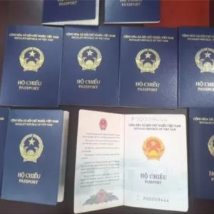 Vietnamese Minister of Public Security scheduled to answer questions in parliament about new passports while continuing to issue them to people