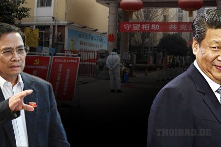Thông tin mới nhất về “động vật nguồn gốc” của Covid 19