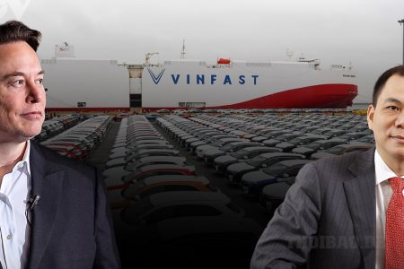 Voi tìm rừng vắng làm vua, gà con VinFast tìm đến rừng chân voi lập nghiệp. Toi chắc!