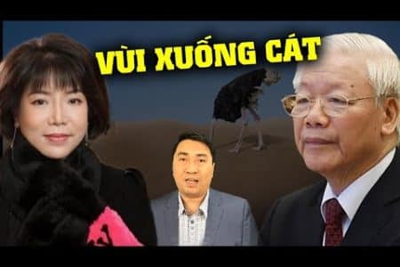 Cắm đầu xuống cát đưa phao câu ra ngoài, ông Tổng tự biến mình thành đà điểu