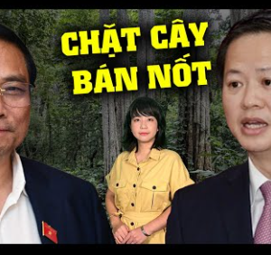Bình Thuận phá rừng làm hồ thủy lợi lãnh đạo tỉnh nói lo cho dân