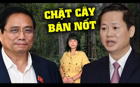 Bình Thuận phá rừng làm hồ thủy lợi lãnh đạo tỉnh nói lo cho dân