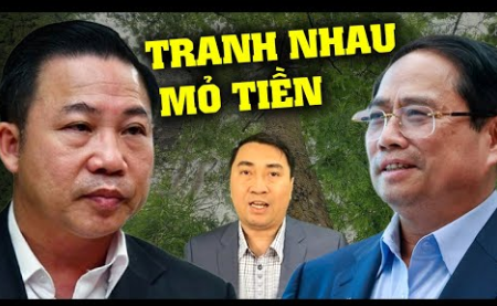 Bình thuận phá 619 ha rừng nguyên sinh và đào hồ để khai thác Titan Sự thật hay tin đồn