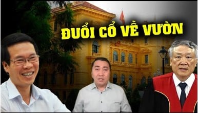 Chủ tịch Võ Văn Thưởng sẽ chấm dứt sự nghiệp tàn ác của NH Bình như thế nào phần 2