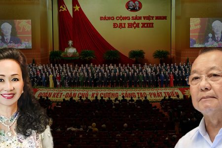 Biến toàn dân thành gà công nghiệp, Đảng và gian thương cùng nhau thịt