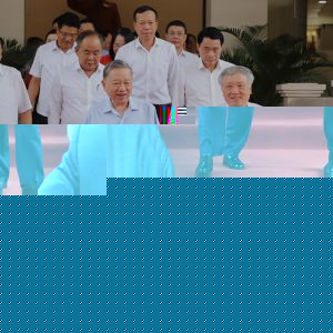 Những uỷ viên Bộ Chính trị chống lưng cho Công ty Cây xanh Công Minh và Bệnh viện Tâm thần có thể bị Tô Đại vạch trần