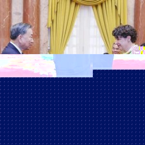 Tô Lâm chấp nhận tân Đại sứ CHLB Đức tại Việt Nam