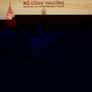 Thái tử đỏ Trần Tuấn Anh được cho hạ cánh an toàn