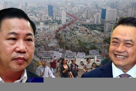 HÀ NỘI: DÂN KÊU CỨU VÌ GẦN 360 CÂY XANH SẮP BỊ CHẶT HẠ 