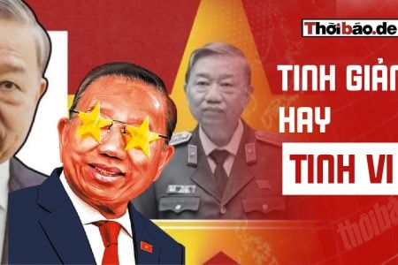 TINH GIẢN HAY TINH VI?