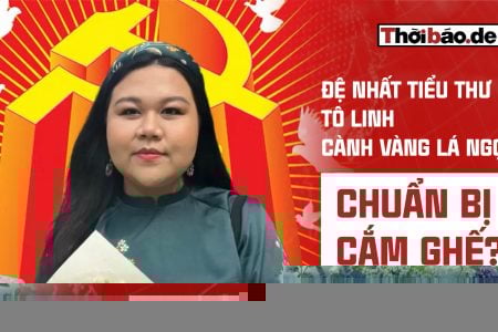 ĐỆ NHẤT TIỂU THƯ TÔ LINH – CÀNH VÀNG LÁ NGỌC CHUẨN BỊ CẮM GHẾ?
