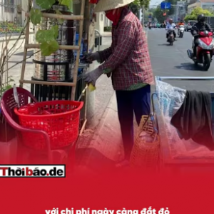 ĐỒNG TIỀN MẤT GIÁ – ẢO TƯỞNG PHỒN VINH