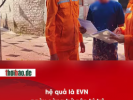 EVN được xem như một sản phẩm độc quyền của cơ chế độc tài