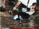 NẾU CÒN LIÊM SỈ, HÃY TỪ CHỨC!