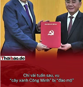 ANH RỪNG RA ĐÒN PHẢN CÔNG: VỤ “CÂY XANH CÔNG MINH” ĐÀO MỘ – TRANH ĐẤU NGHỆ TỈNH TRƯỚC ĐẠI HỘI XIV!