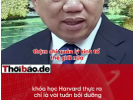 KHI ANH RỪNG DẠY HARVARD VỀ KINH TẾ THỊ TRƯỜNG.