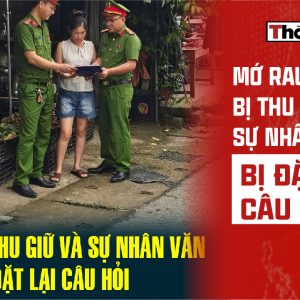 MỚ RAU BỊ THU GIỮ VÀ SỰ NHÂN VĂN BỊ ĐẶT LẠI CÂU HỎI