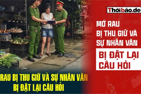 MỚ RAU BỊ THU GIỮ VÀ SỰ NHÂN VĂN BỊ ĐẶT LẠI CÂU HỎI