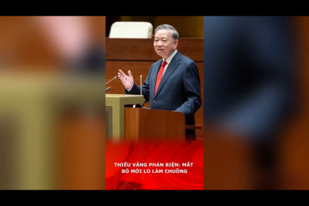 THIẾU VẮNG PHẢN BIỆN: MẤT BÒ MỚI LO LÀM CHUỒNG