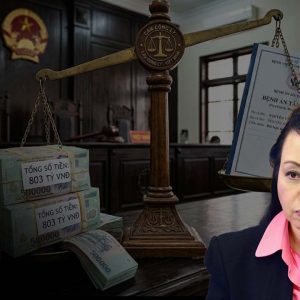 „Virus Tâm Thần“ Ở Thượng Tầng: Khi Bệnh Lý Là Tấm Lá Chắn 803 Tỷ