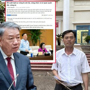 Chủ tịch xã có quyền tước chứng chỉ luật.