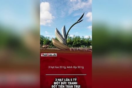 Ba hạt lúa 20 tỷ, kênh lấp 50 tỷ – Một bức tranh đốt tiền trần trụi.