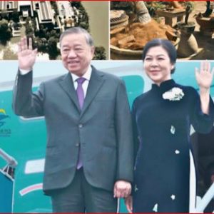 Khi những chậu mai vàng trở thành chỉ tiêu của lực lượng công quyền.