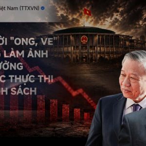 Thông tấn xã Việt Nam gọi người dân là “ong ve” theo ngôn từ trịch thượng của Tô Lâm?
