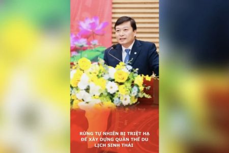 Rừng tự nhiên bị triệt hạ để xây dựng quần thể du lịch sinh thái