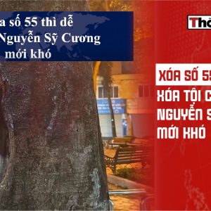 Xóa số 55 thì dễ, xóa tội của Nguyễn Sỹ Cương mới khó